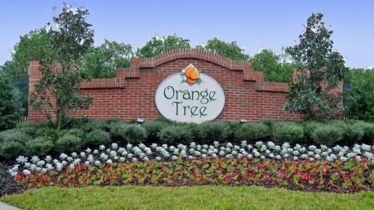 Photo of Others in Orange Tree