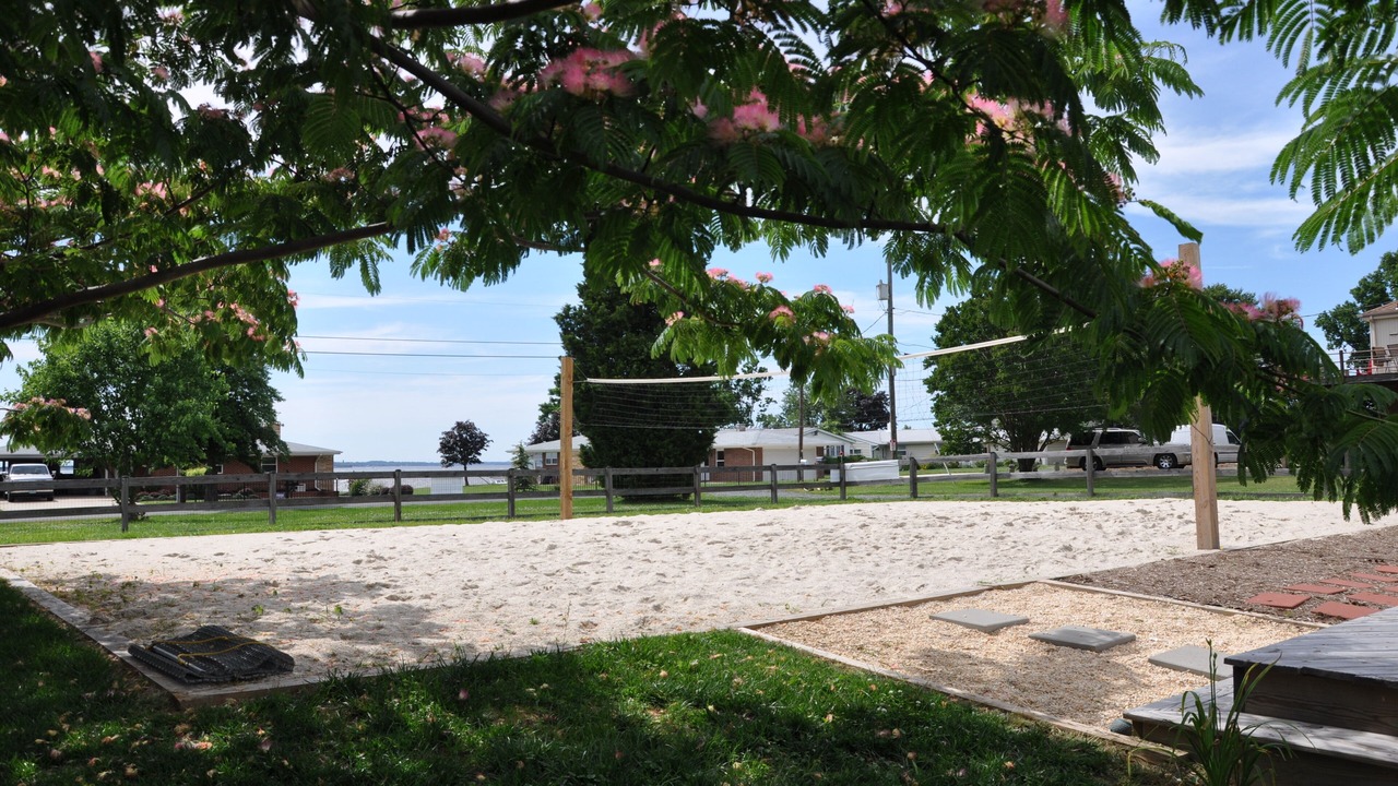 Photo of Others in Stevensville