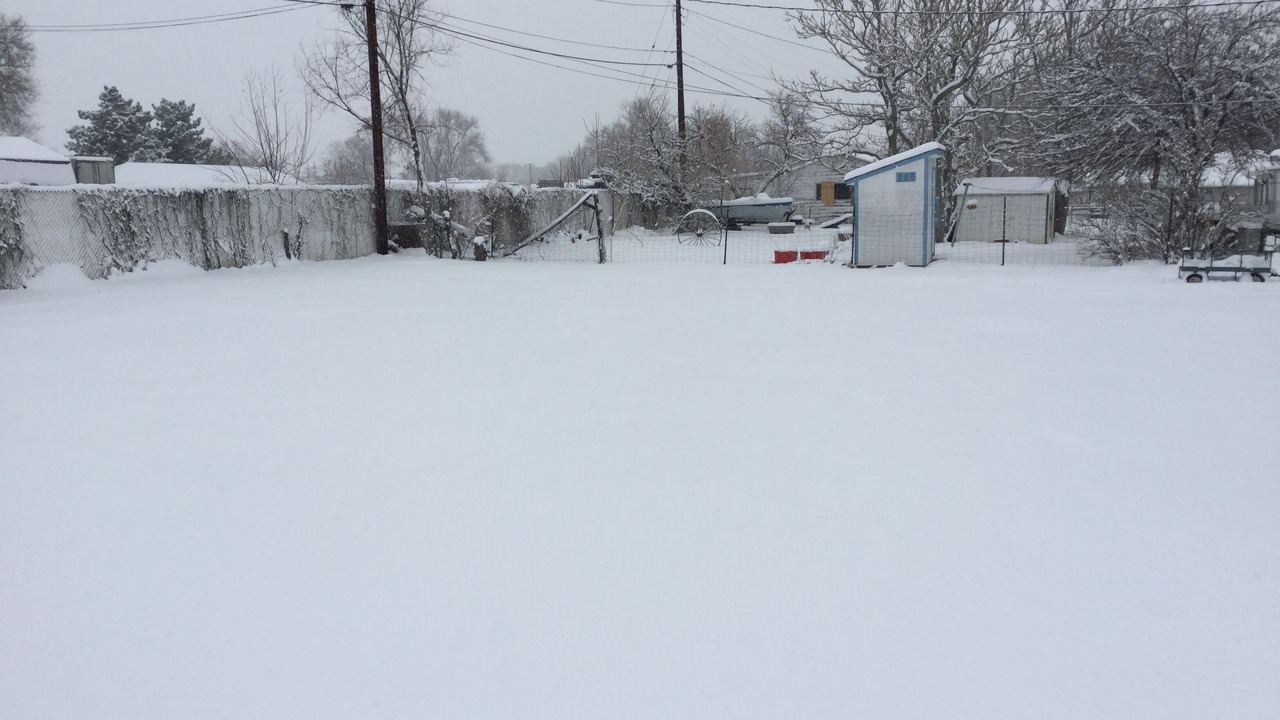 Photo of Outdoor in Golden