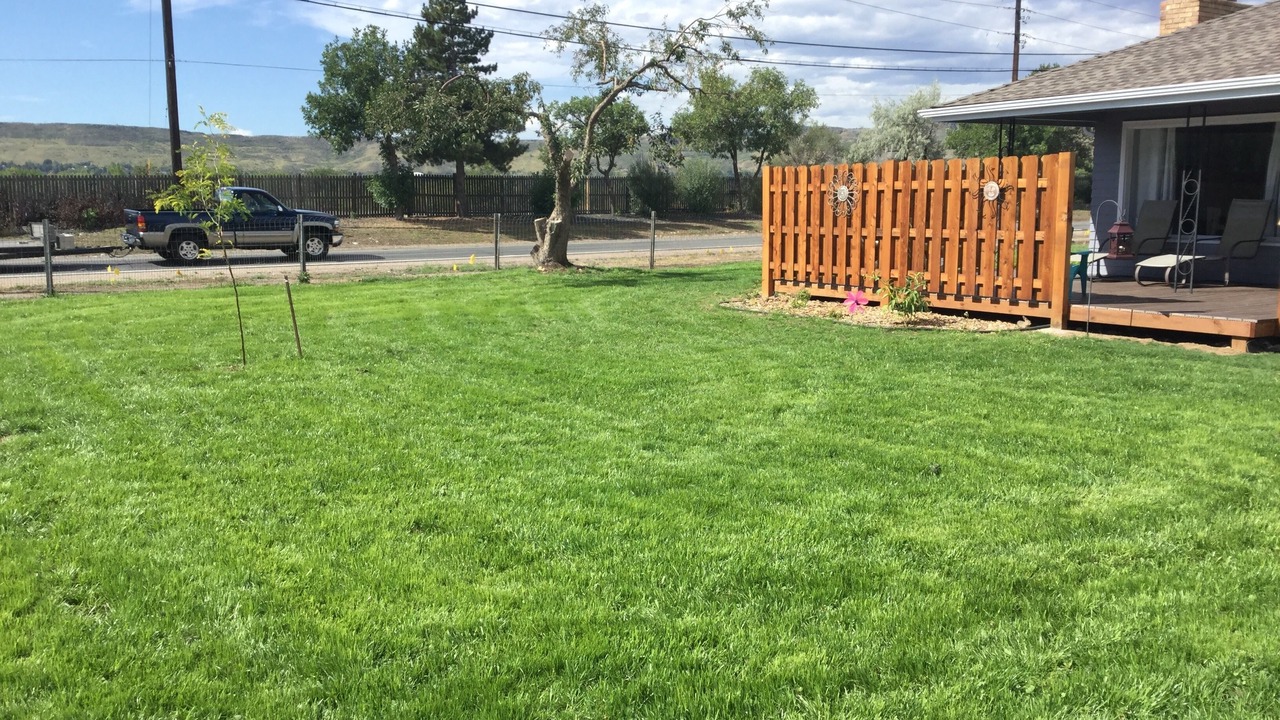 Photo of Outdoor in Golden