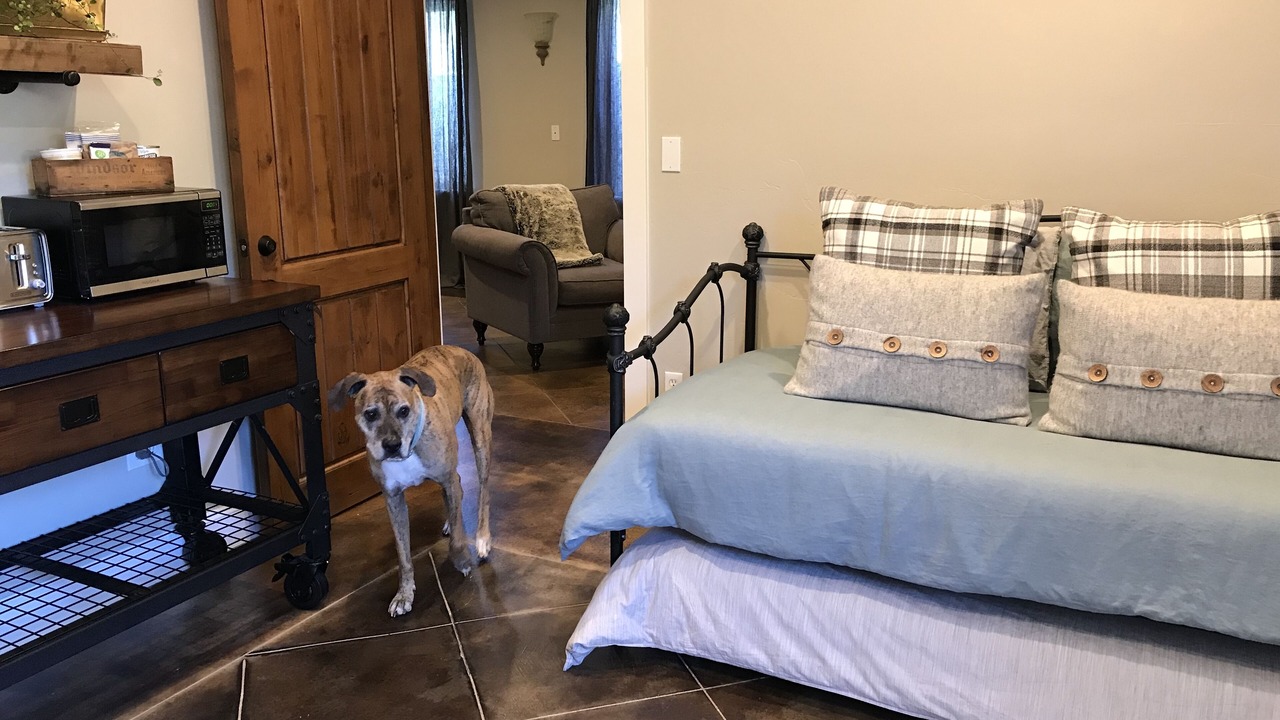 Photo of Livingroom in Mapleton