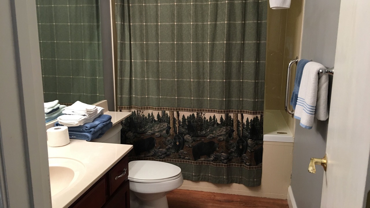 Photo of Bathroom in Gatlinburg