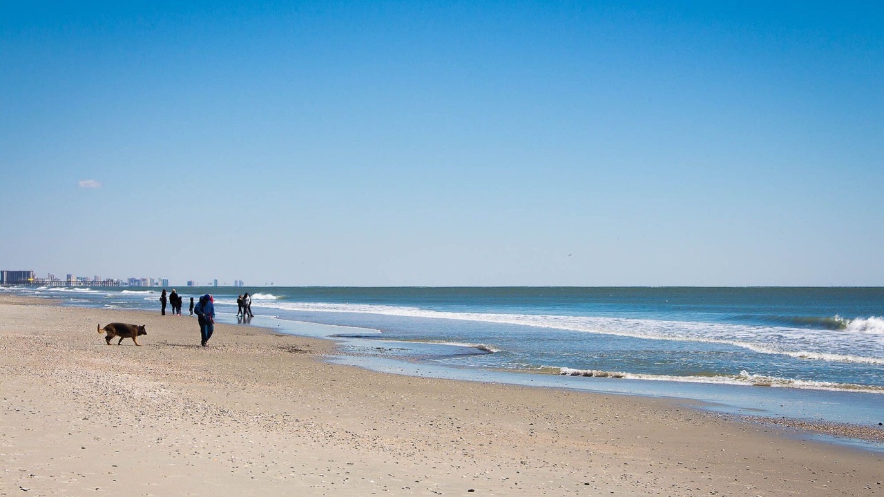 Photo of Others in Myrtle Beach