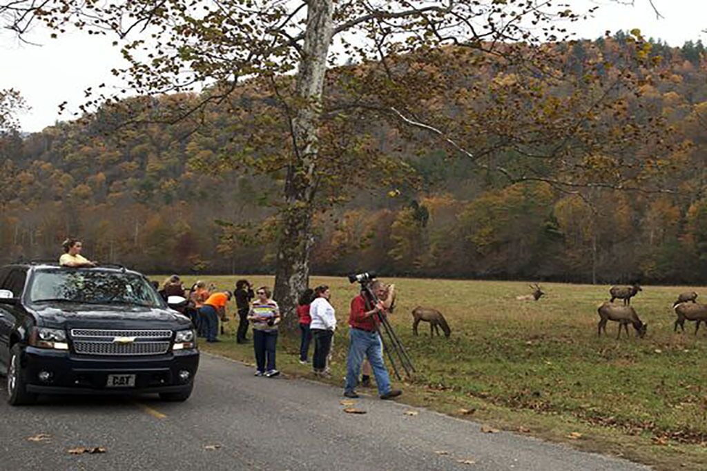 Photo of Others in Candler