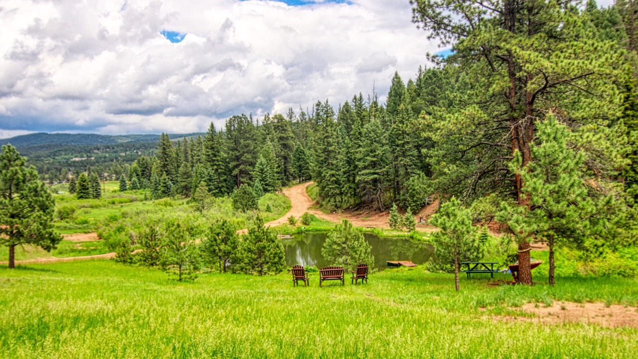 Photo of Others in Woodland Park