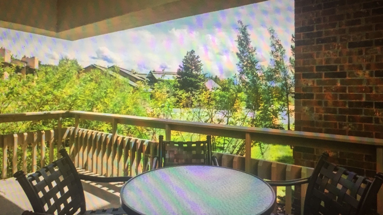 Photo of Others in Steamboat Springs