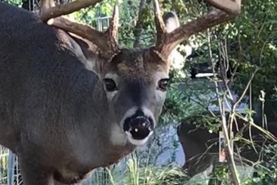 Photo of Outdoor in Wimberley