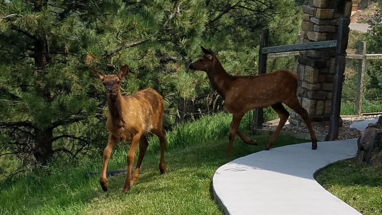 Photo of Others in Golden
