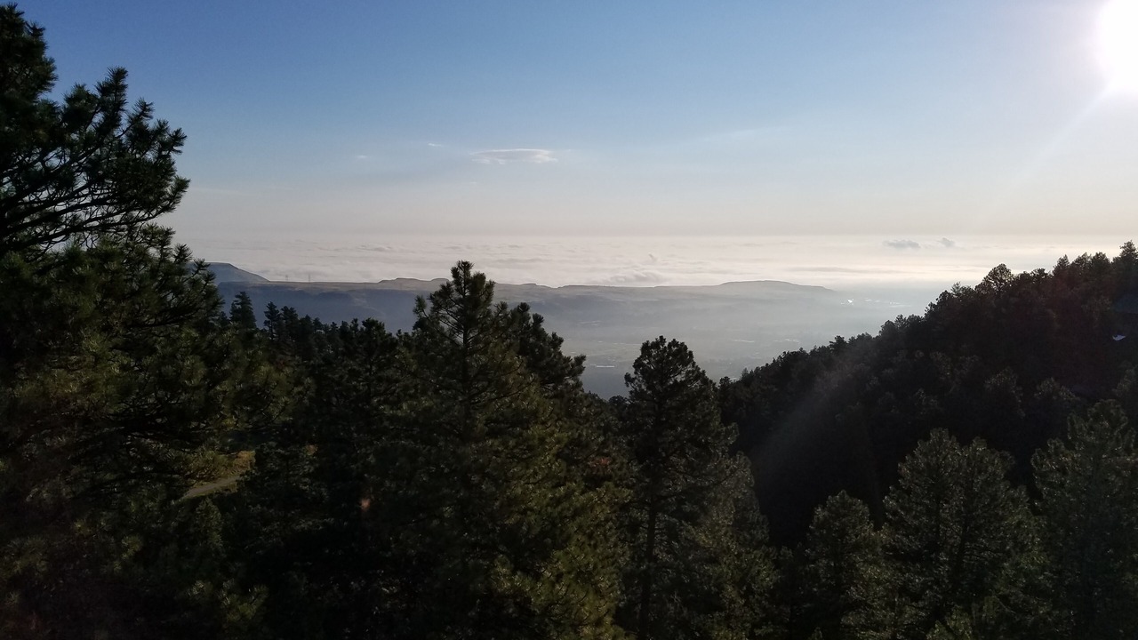 Photo of Others in Golden
