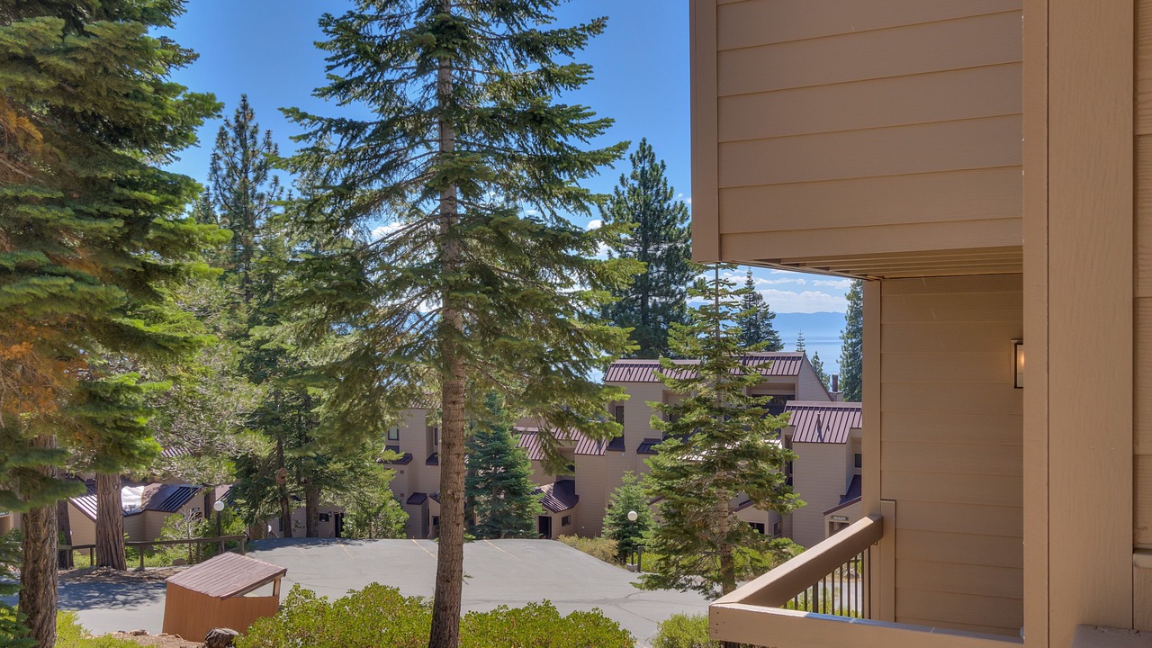 Photo of Outdoor in Carnelian Woods