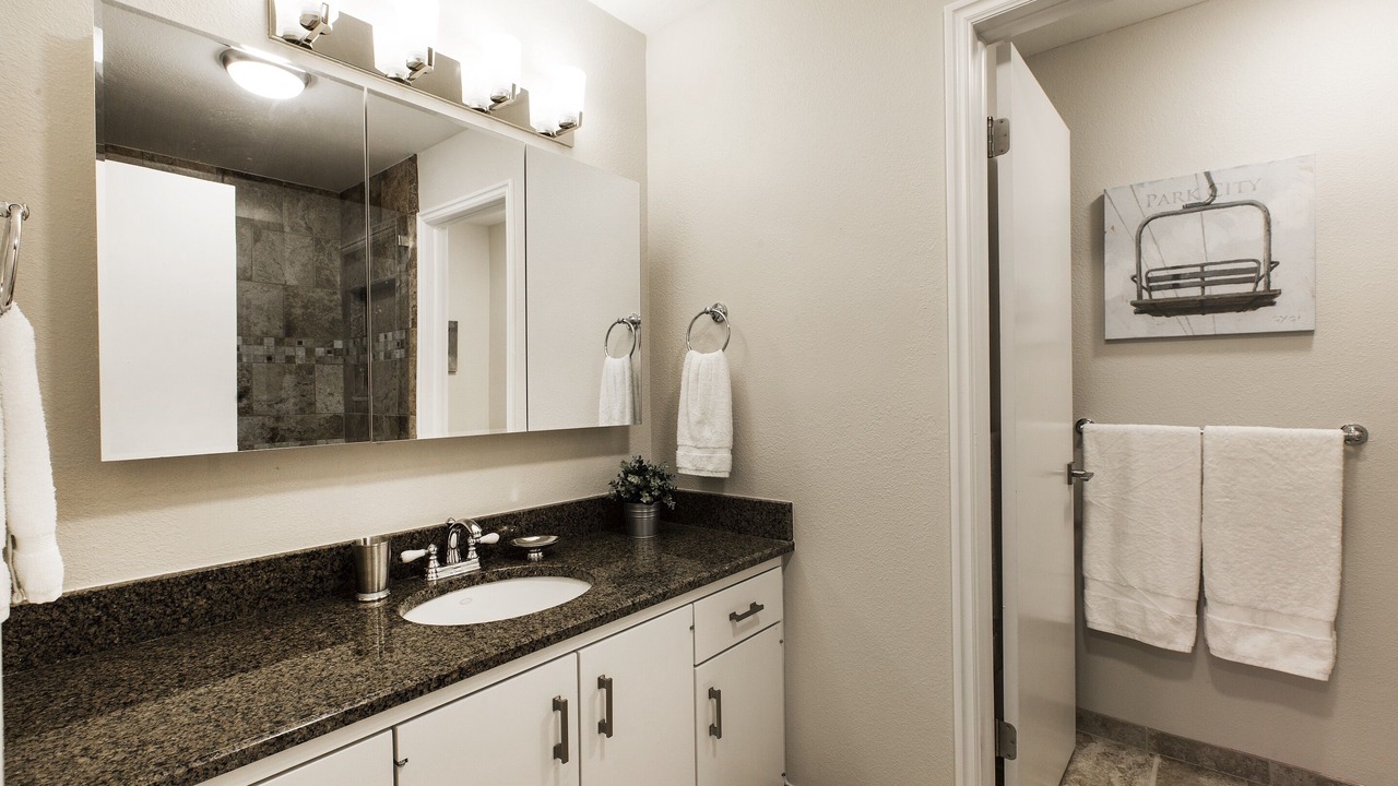 Photo of Bathroom in North Park City