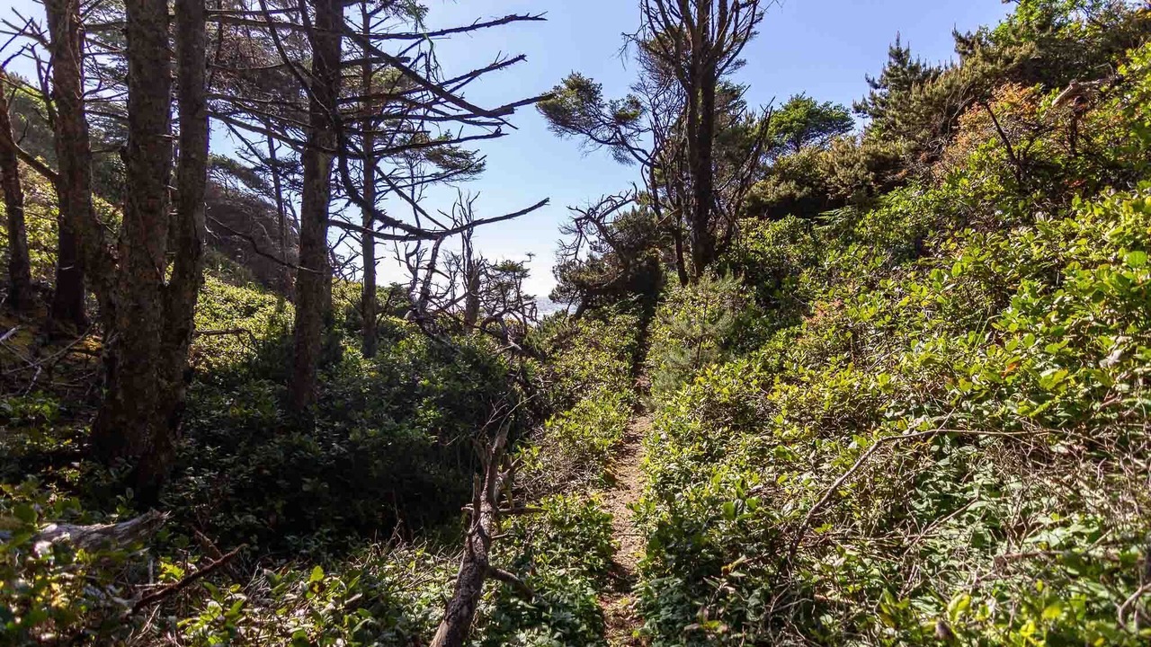 Photo of Others in Seal Rock