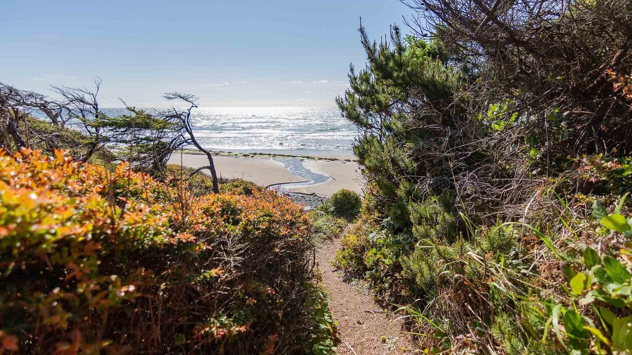 Photo of Others in Seal Rock