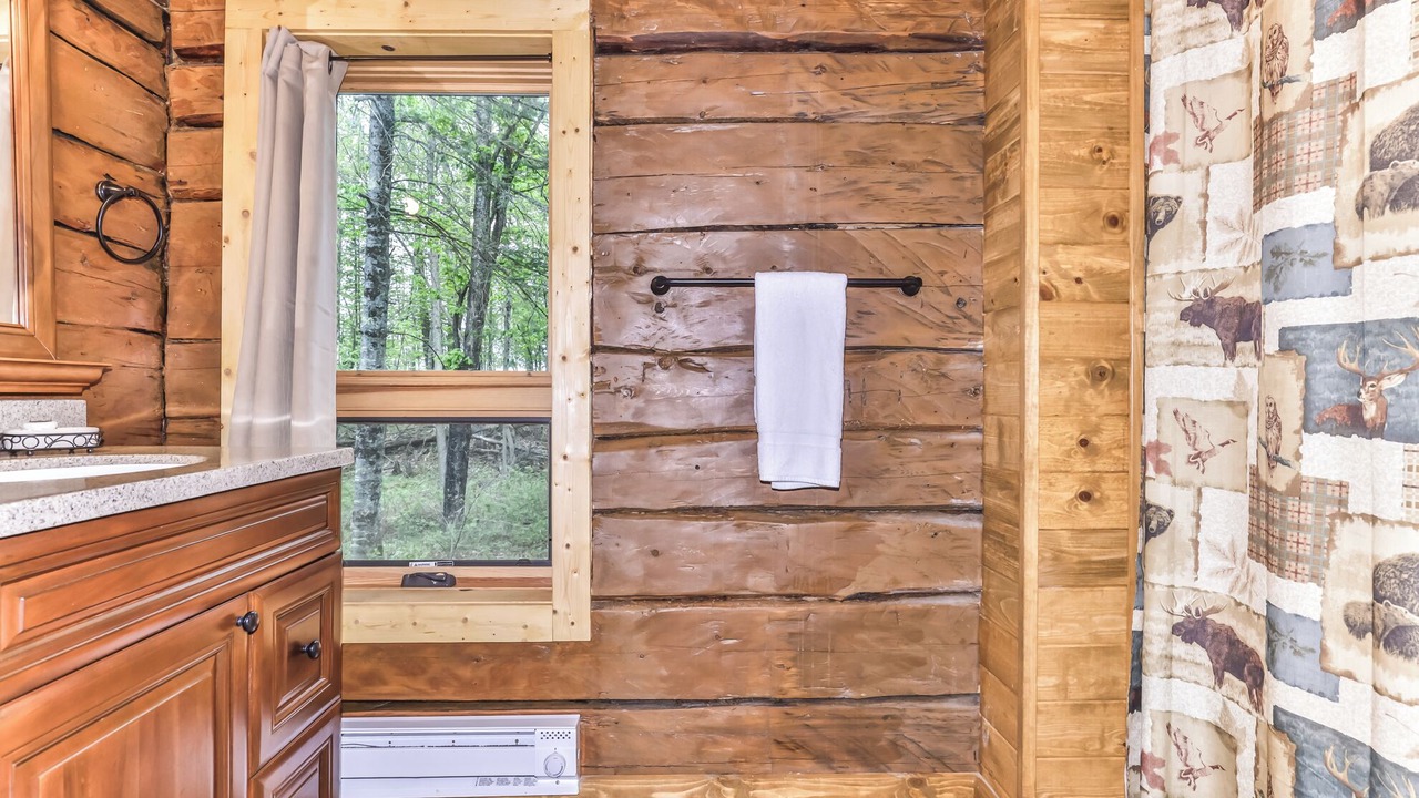 Photo of Bathroom in Phelps