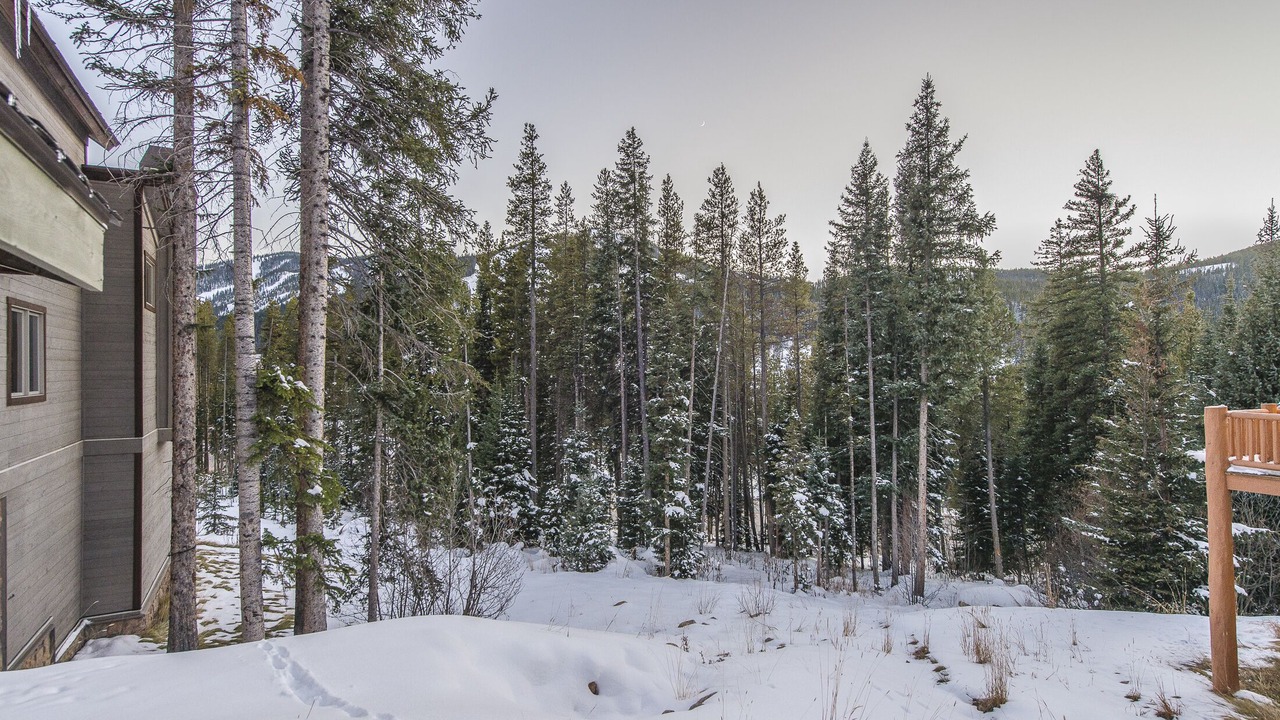 Photo of Outdoor in Winter Park