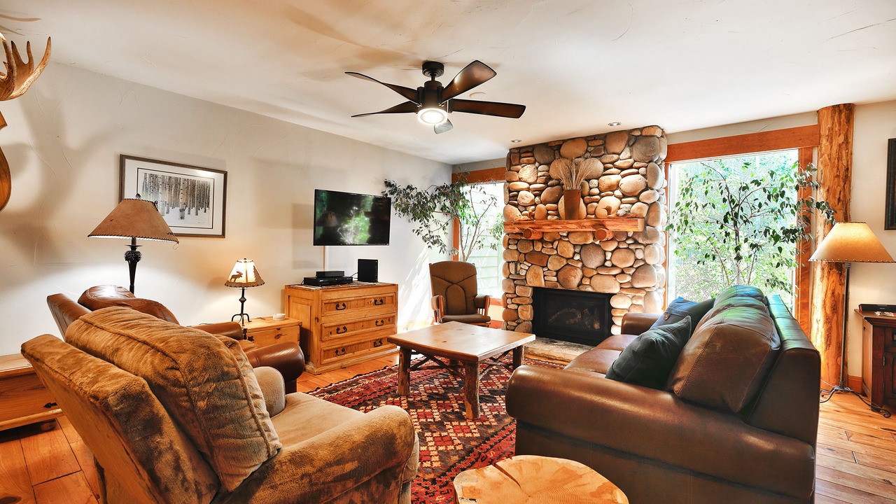 Photo of Livingroom in North Park City
