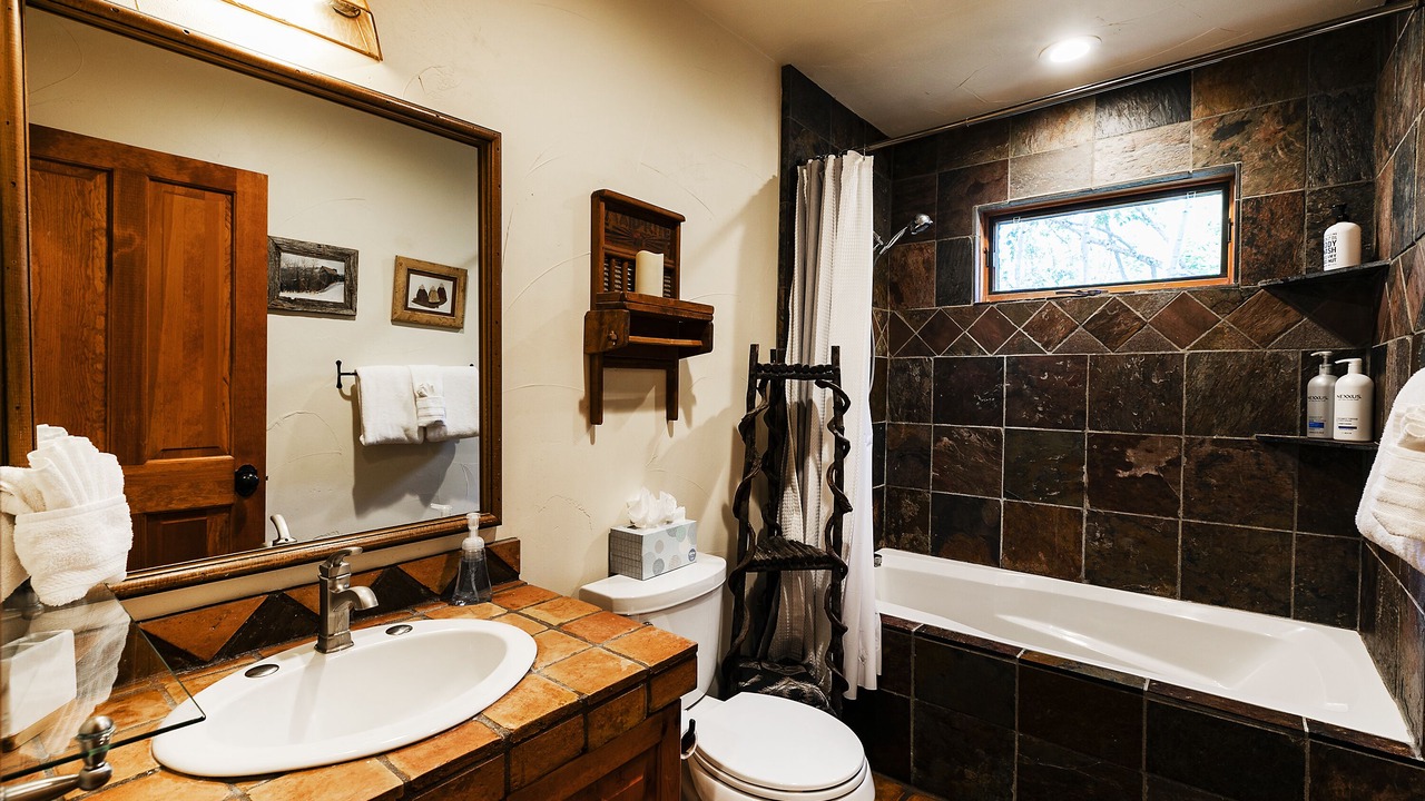 Photo of Bathroom in North Park City