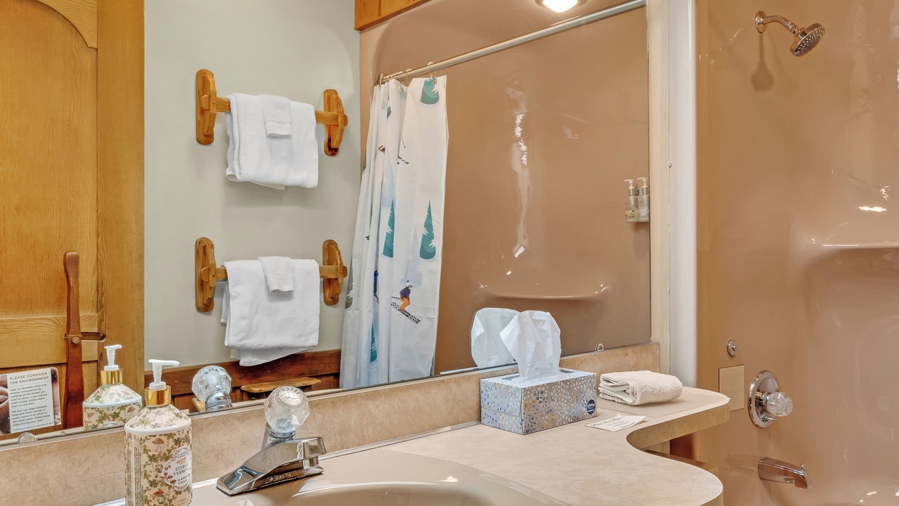 Photo of Bathroom in Thompsonville