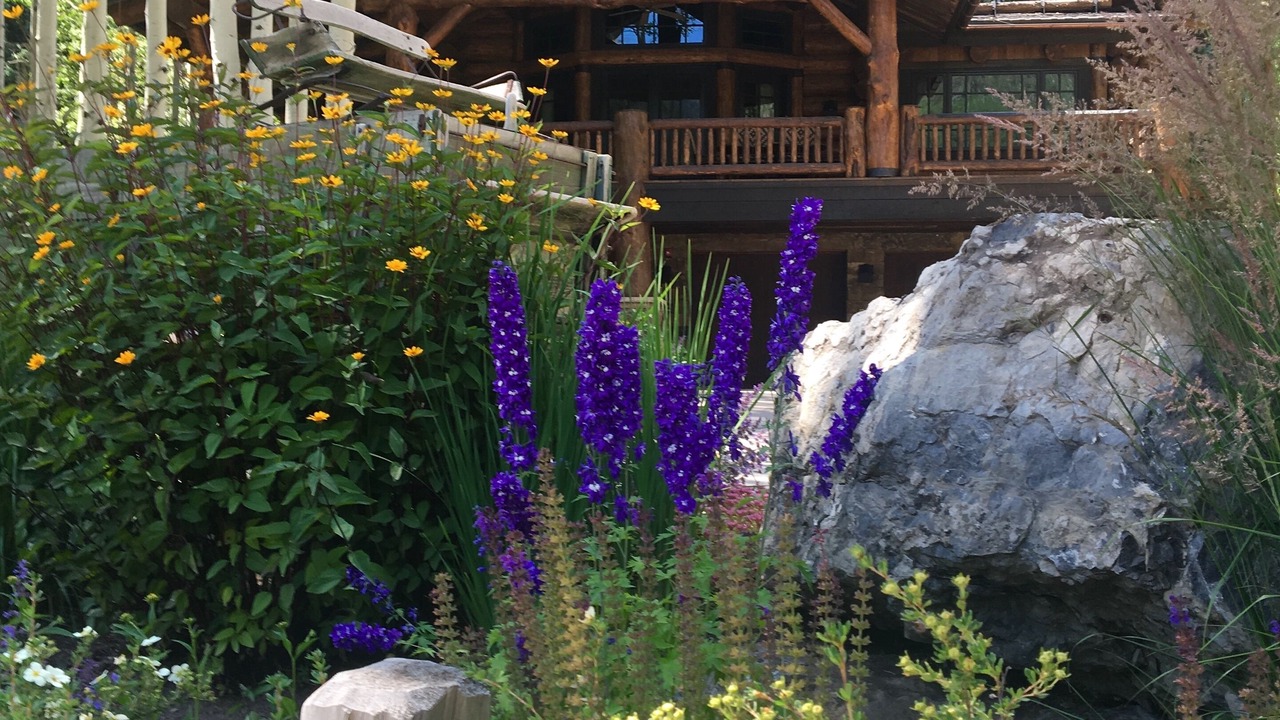 Photo of Others in Vail