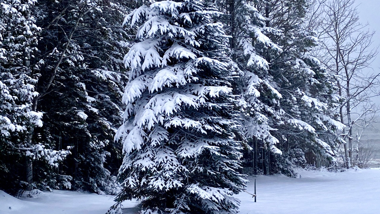 Photo of Outdoor in St Ignace