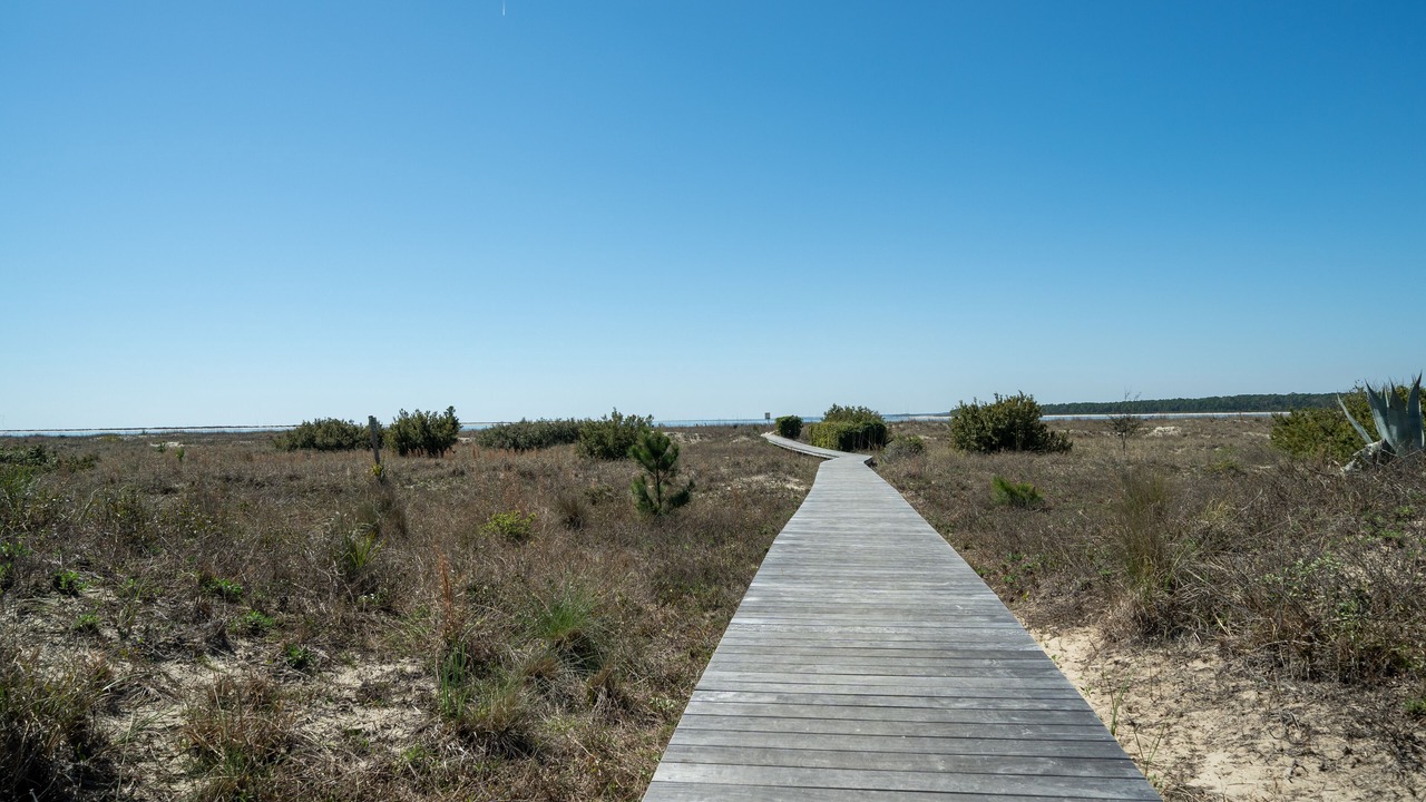 Photo of Others in Seabrook Island
