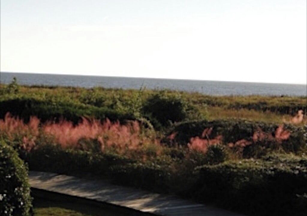 Photo of Others in Seabrook Island