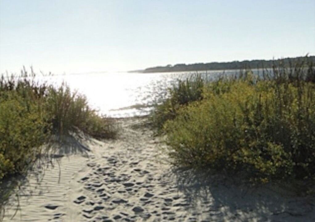 Photo of Others in Seabrook Island