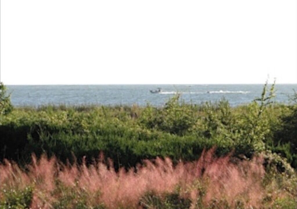 Photo of Others in Seabrook Island