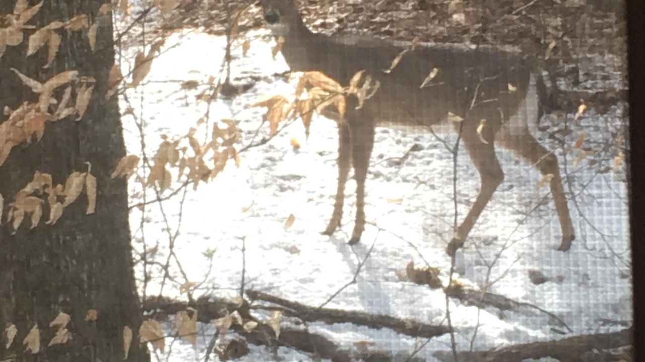 Photo of Others in Maple City