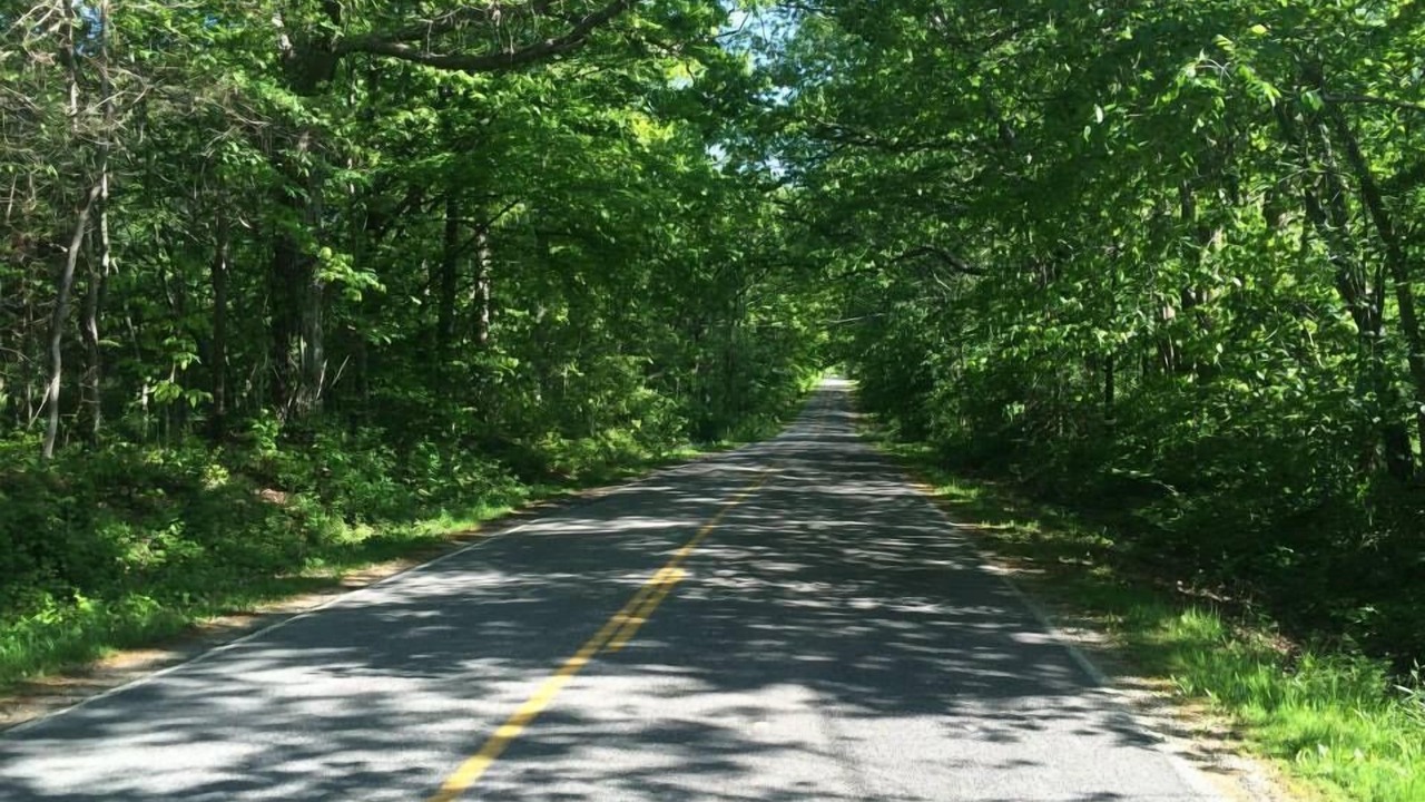 Photo of Outdoor in Harbert