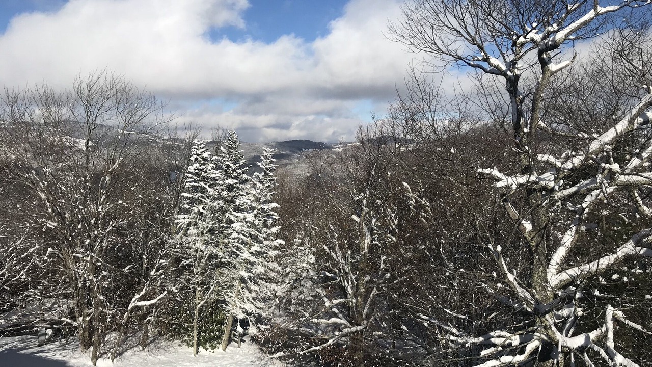 Photo of Others in Sugar Mountain