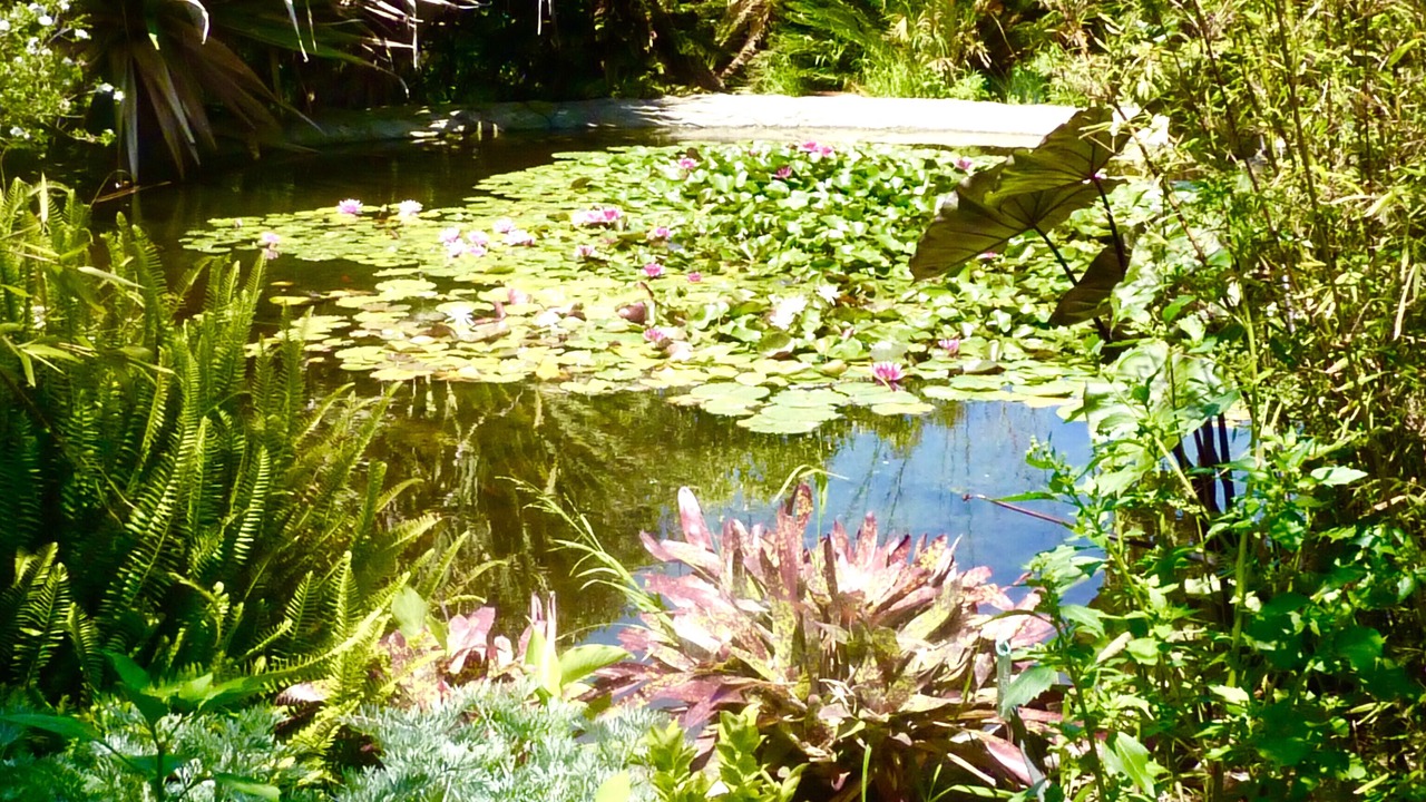 Photo of Outdoor in Encinitas