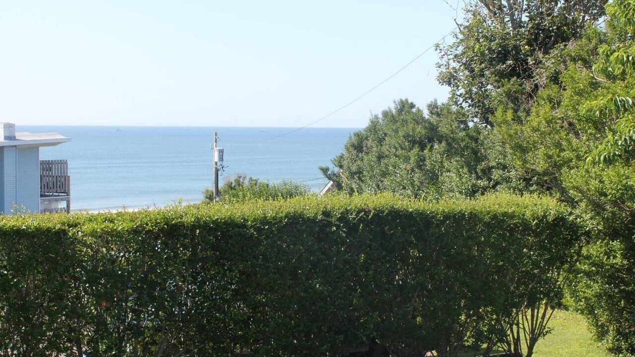 Photo of Others in Montauk