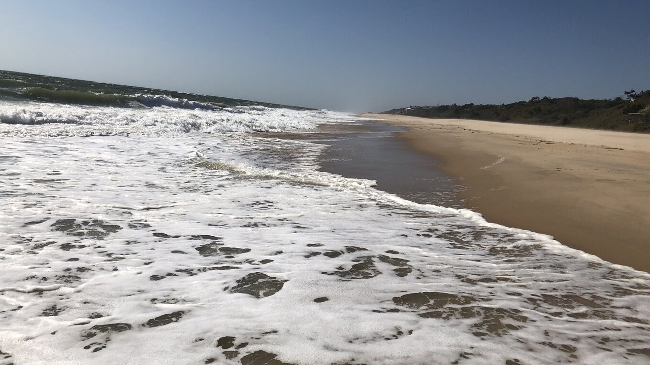 Photo of Others in Montauk