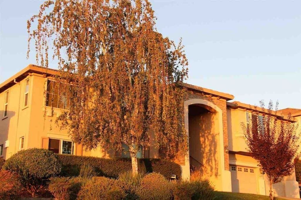 Photo of Outdoor in Folsom