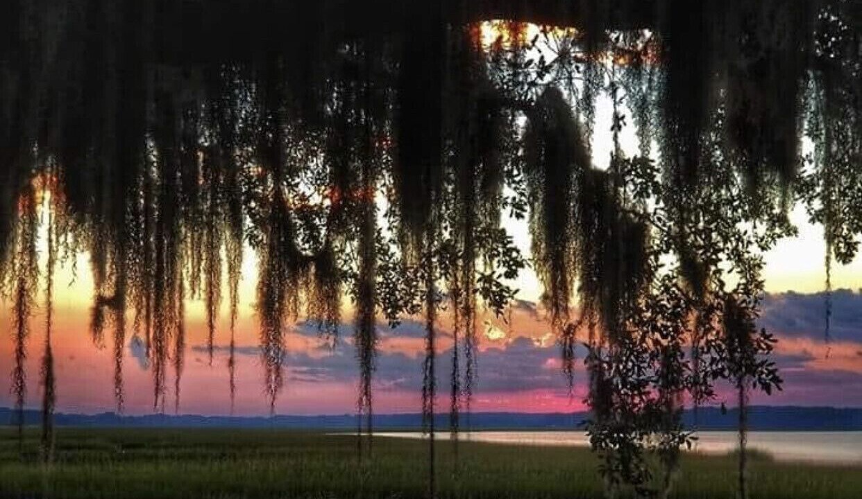 Photo of Outdoor in Garden City