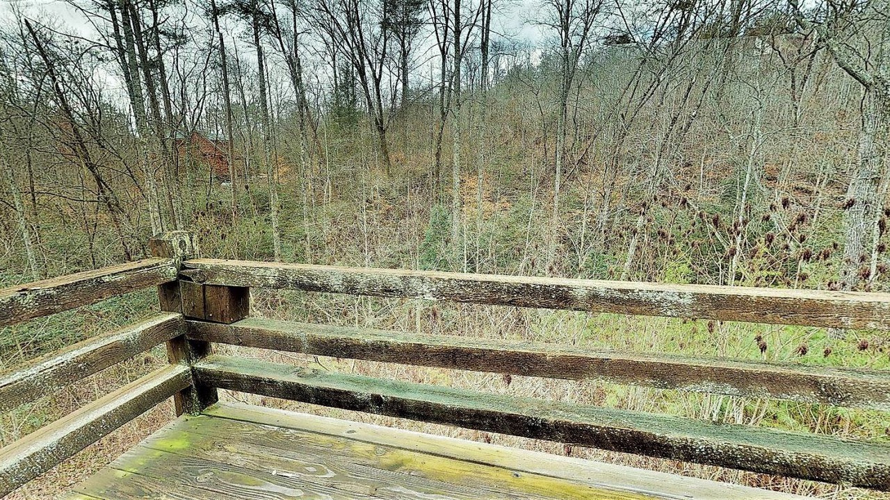 Photo of Others in Foxfire Estates