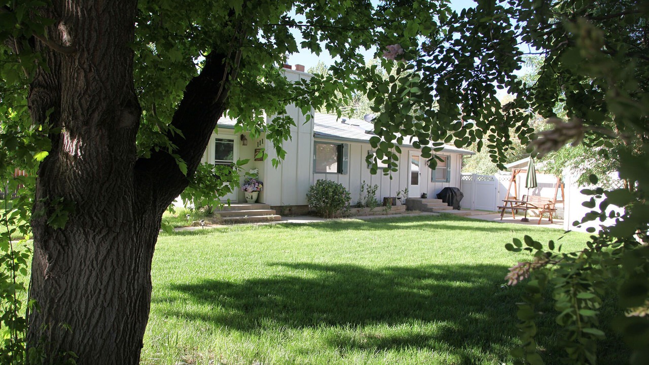 Photo of Others in Buena Vista