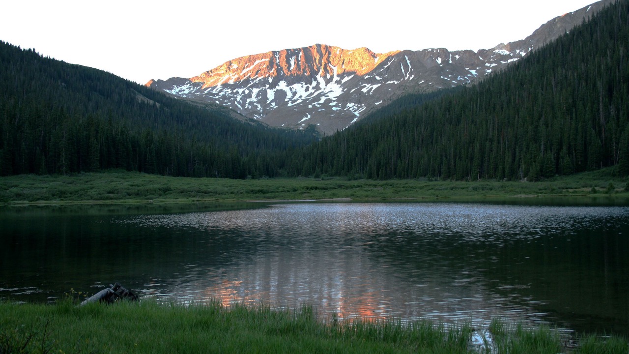 Photo of Others in Buena Vista