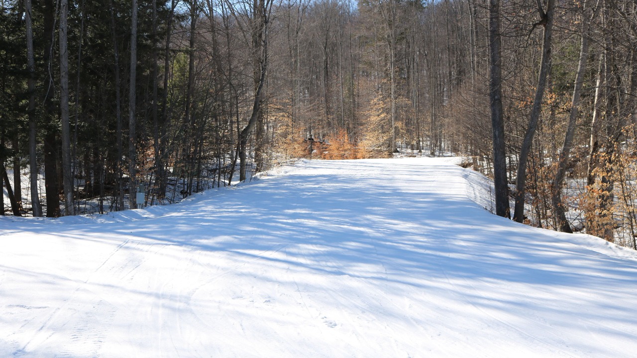 Photo of Others in Boyne Falls