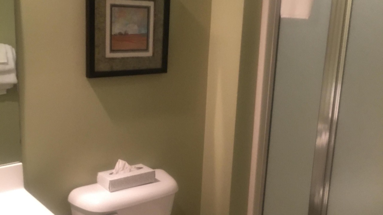 Photo of Bathroom in Boyne Falls