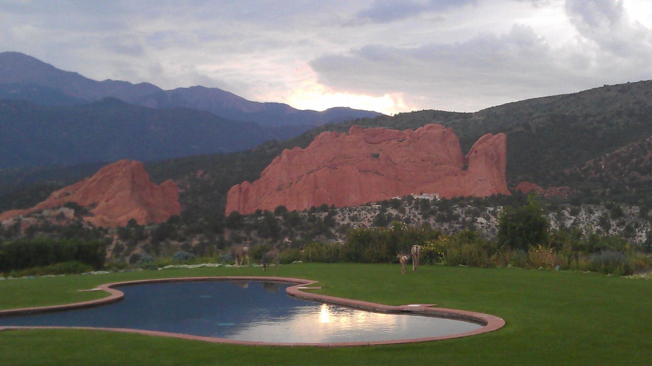 Photo of Outdoor in Kissing Camels