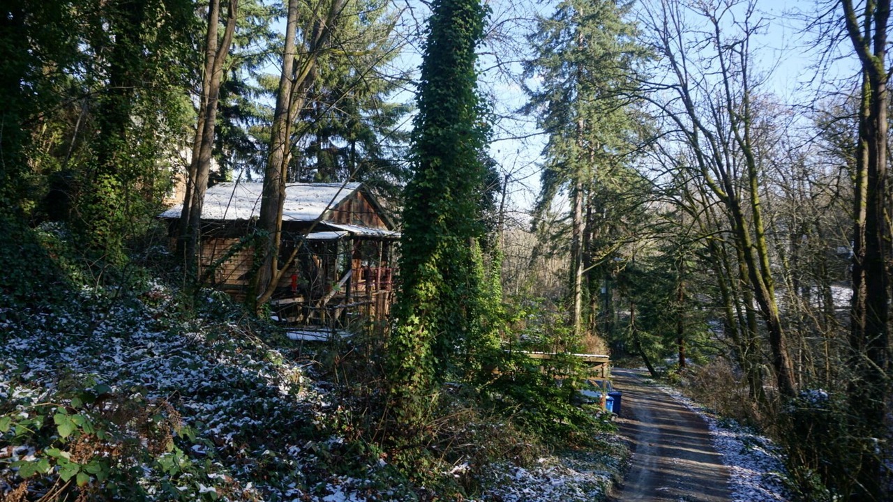 Photo of Others in North Admiral