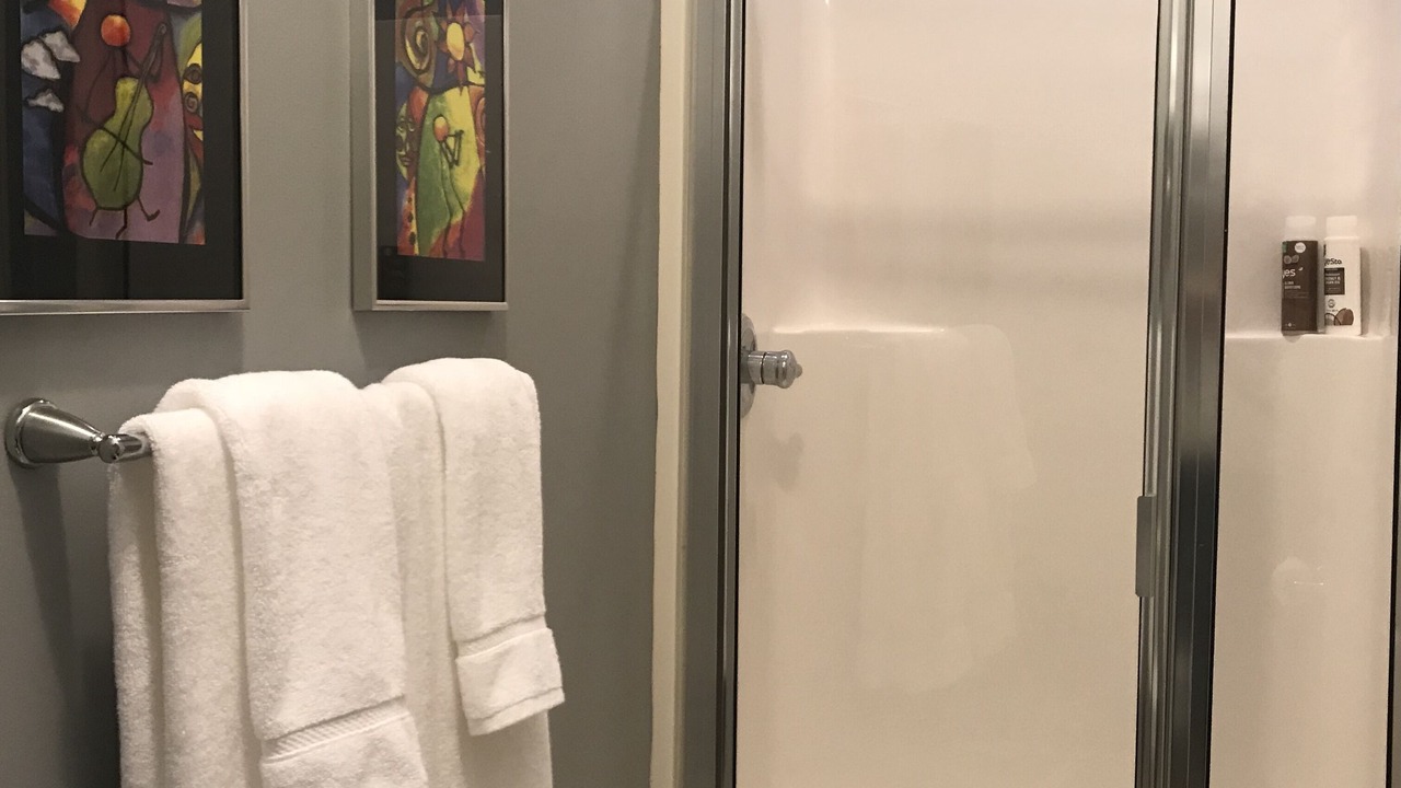 Photo of Bathroom in Greenville Downtown