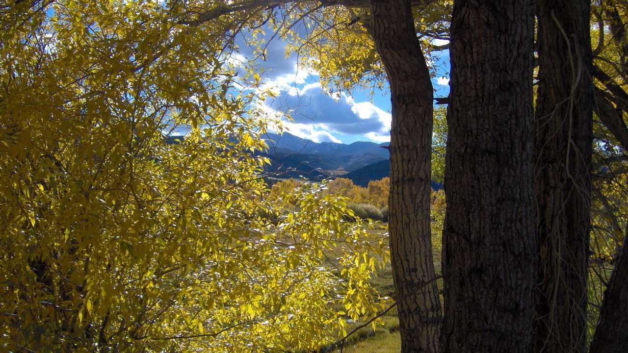 Photo of Outdoor in Salida