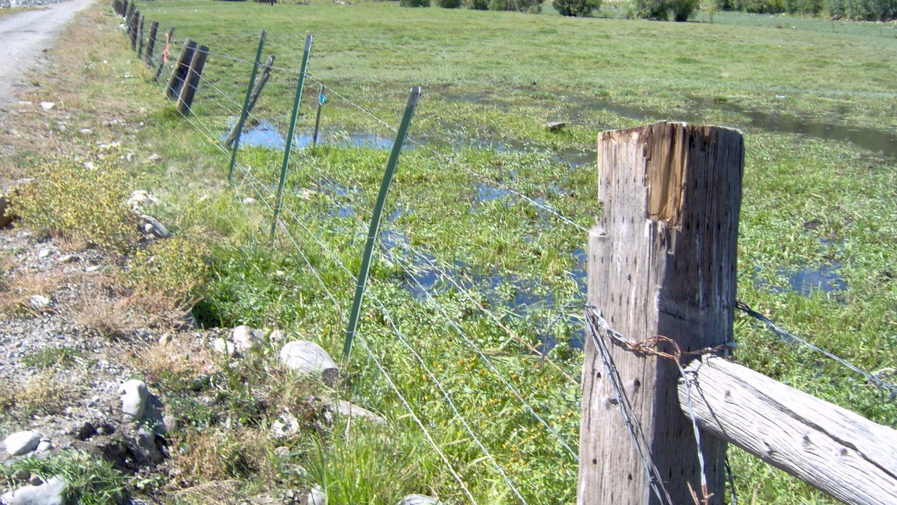 Photo of Outdoor in Salida