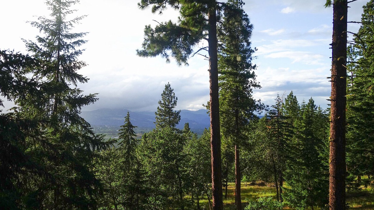 Photo of Outdoor in Hood River