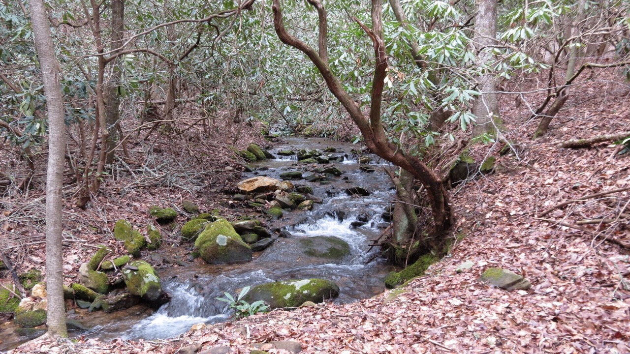 Photo of Others in Ellijay
