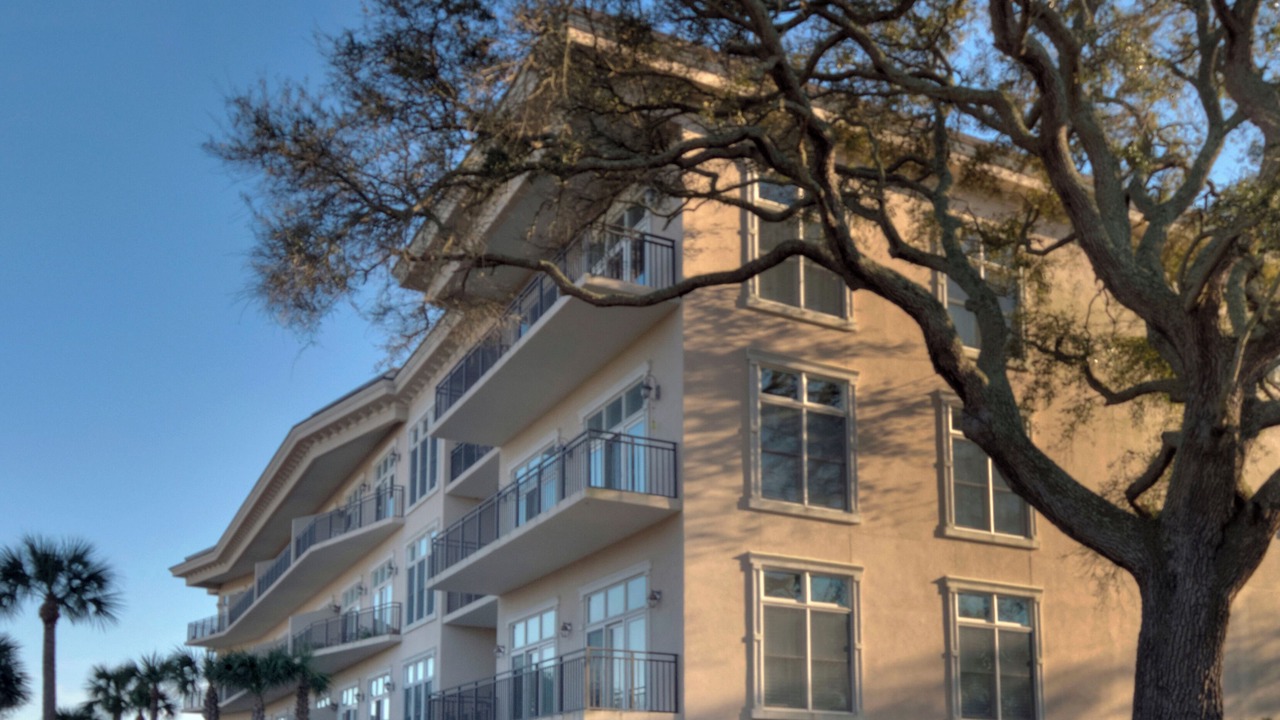 Photo of Outdoor in Saint Simons Island