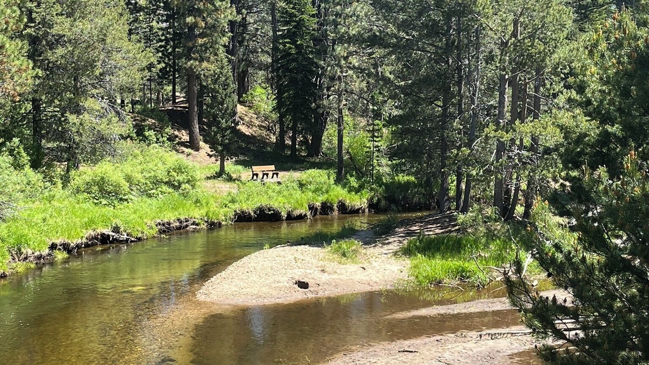 Photo of Others in North Upper Truckee